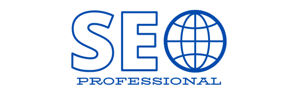 seo professional