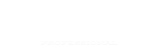 seoprofessional